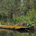 DSCF0707