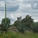 DSCF0675
