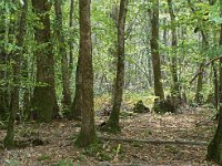 P9030319