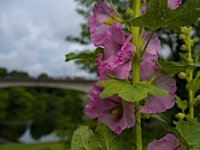 DSCF4833