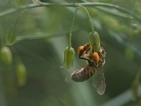 DSCF0057