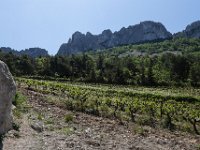 Vignobles