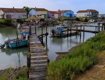 Port la Cayenne