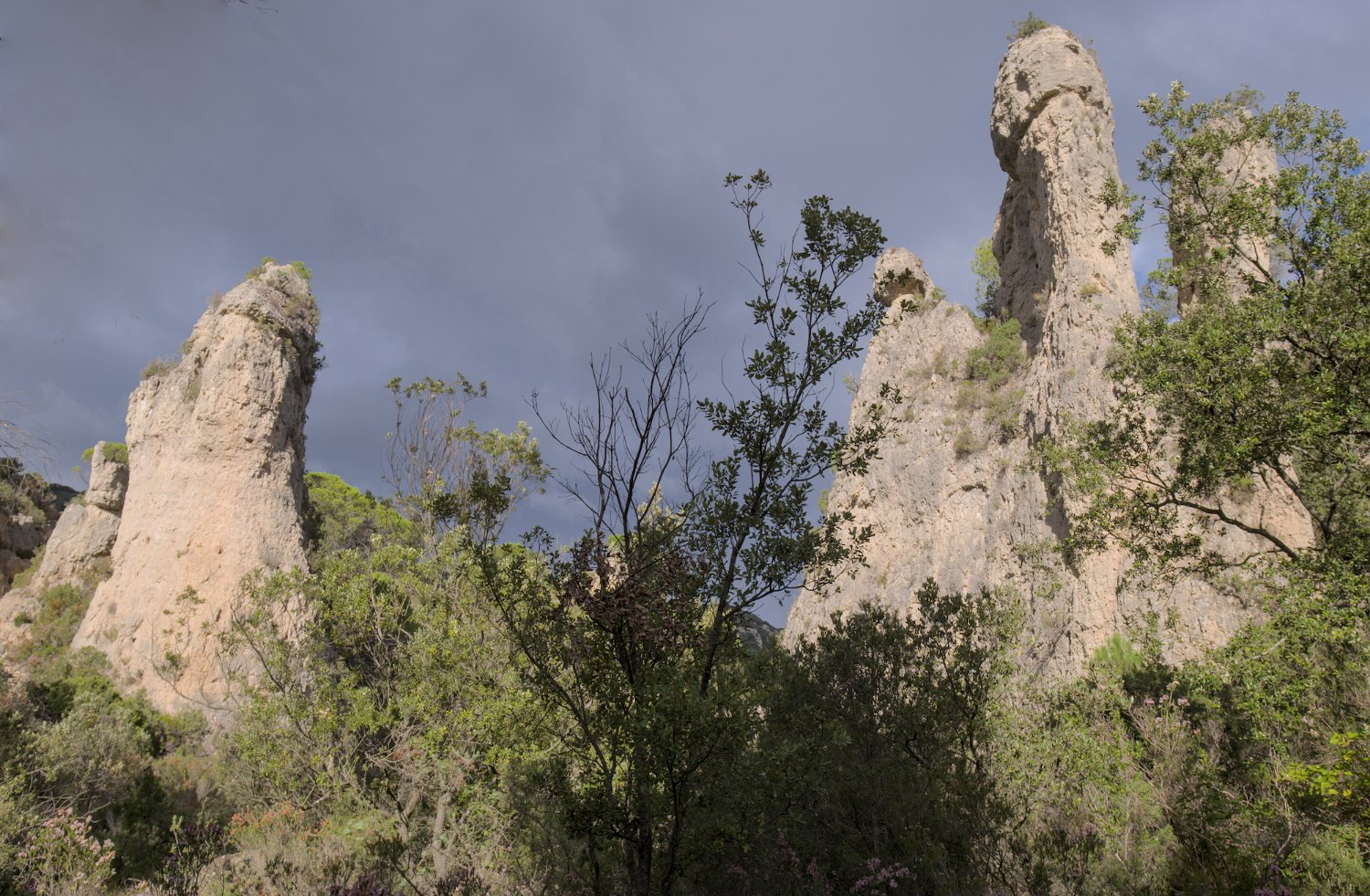 Rochers et formes