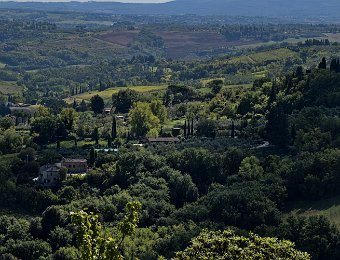 DSCF8746