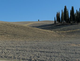DSCF8507