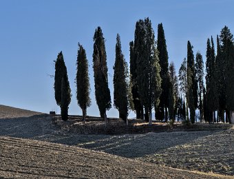 DSCF9107