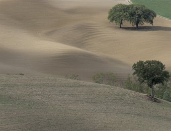 DSCF9144