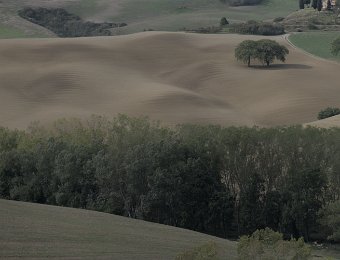 DSCF9152