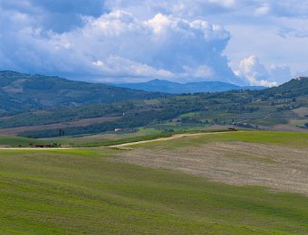 DSCF9166