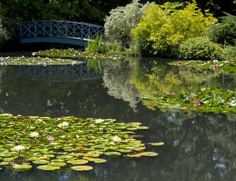 Pièce d'eau