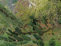Jardin à l'envers