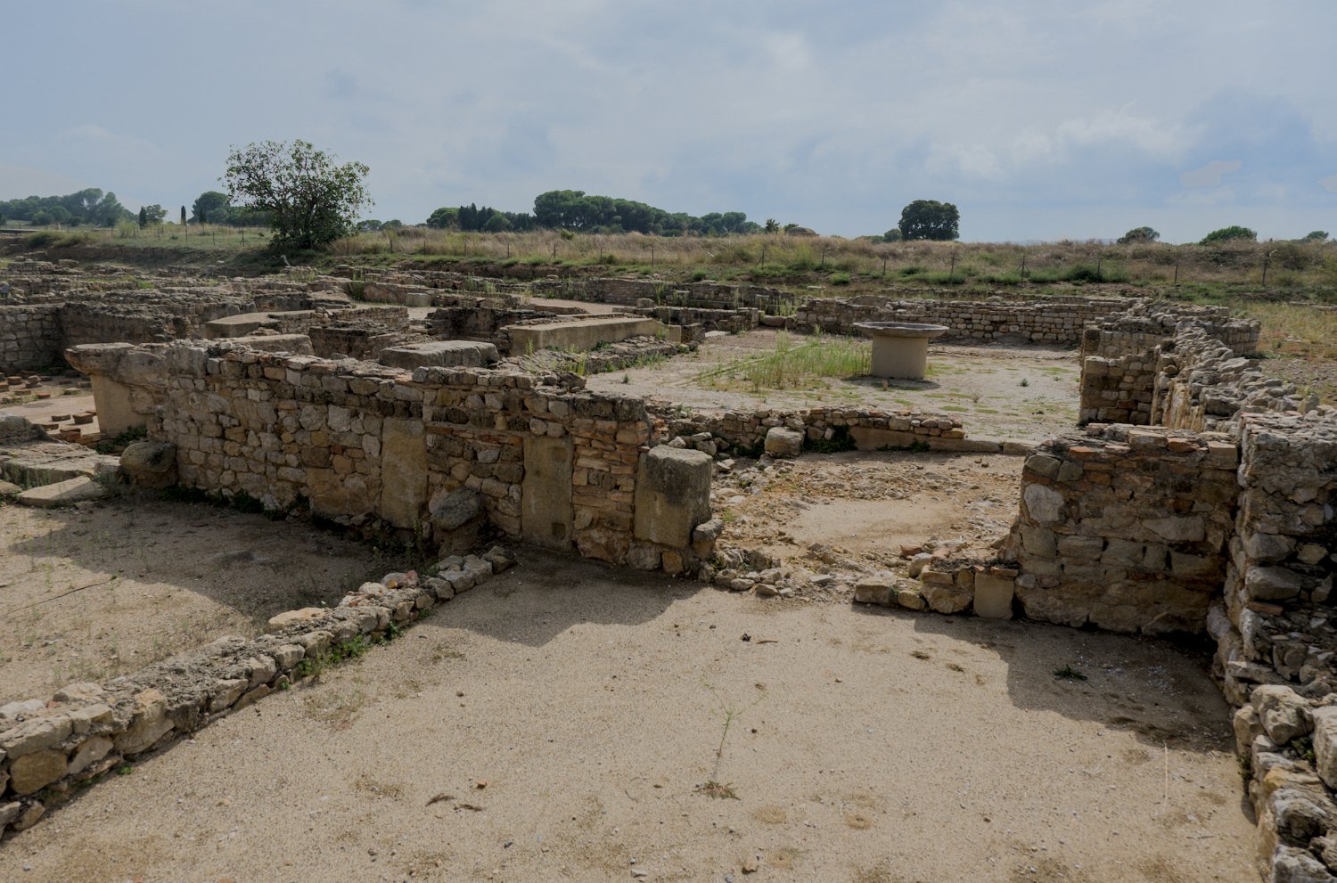 Vestiges des termes
