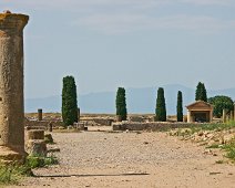 Le cardo Maximus