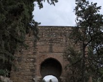 DSCF3856.jpg