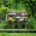 DSC 1019  Un jardin d&#39;eau